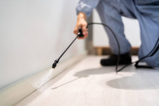 Professional Pest Control in Haslett, MI